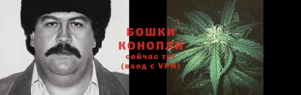 мдпв Богородск