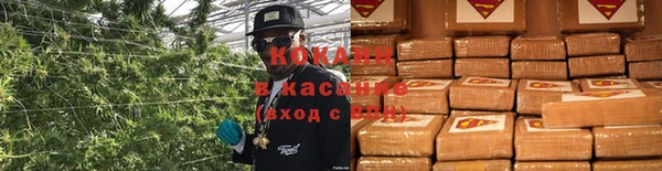 мдпв Богородск