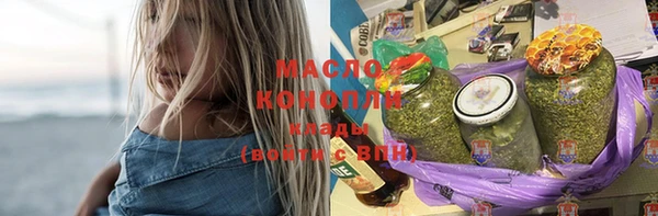 мдпв Богородск